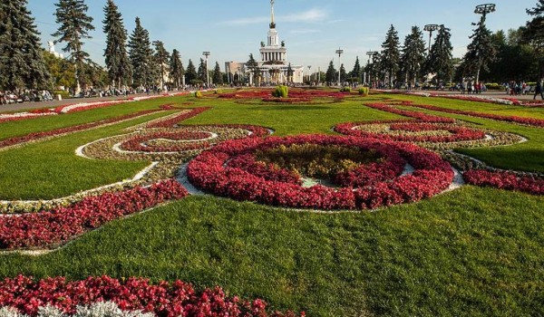 Японские спиреи, армянские мускари и поэтические нарциссы расцветут на ВДНХ будущей весной