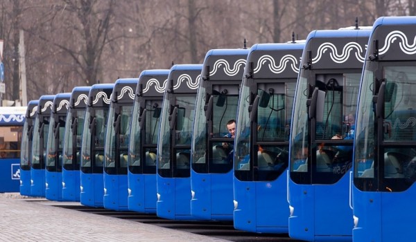 11 млн пассажиров воспользовались новой маршрутной сетью в центре города