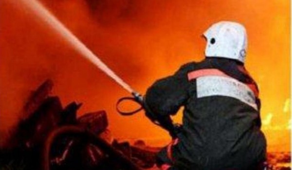 C начала 2016 года в Москве произошло на 8% меньше пожаров, чем в прошлом году 