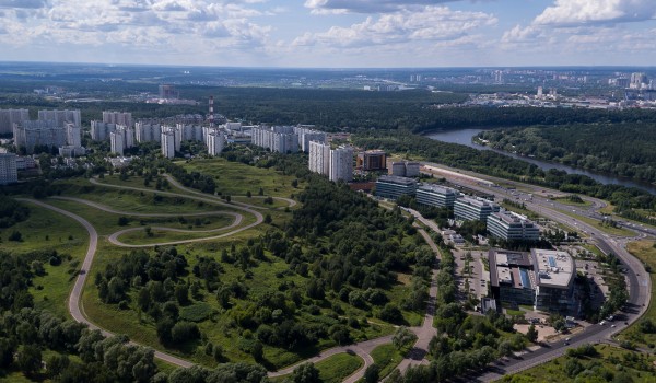 Работы по высадке деревьев на въездной группе Рублевского шоссе практически завершились