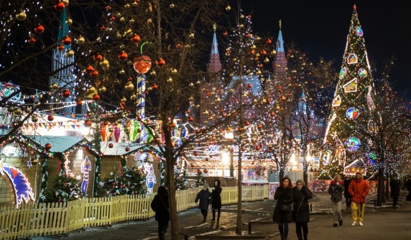 Фестивальные площадки в Москве украсят более 150 живых елей 