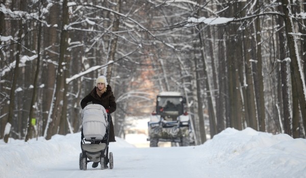  Знак в память о заслуженных российских воинах появился в Измайловском лесопарке