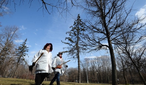 Благоустройство Петровского парка завершится в 2019 году	