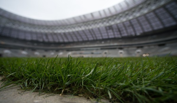 Стадион «Лужники» введут в эксплуатацию в 2017 году 