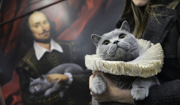 На крыше торгового центра на юге Москвы появится ярмарочно-выставочный центр домашних животных