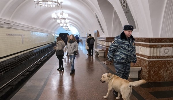 В преддверии новогодних праздников в Москве и городах Европы усилили меры безопасности