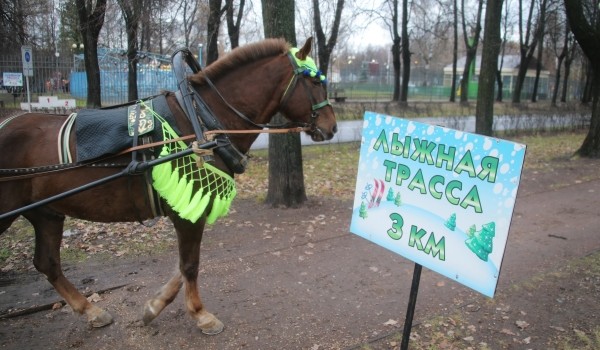 В Измайловском парке открылся конный двор