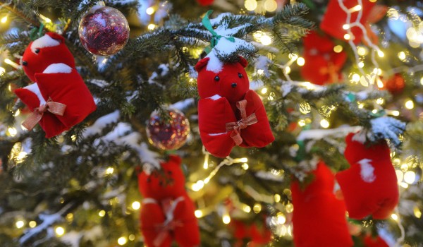 Окружные площадки «Путешествия в Рождество» закрыты 9 января из-за морозов
