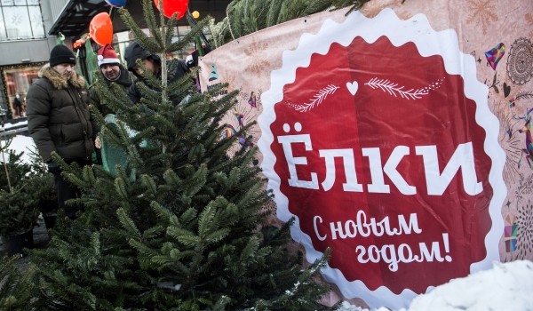Более 560 новогодних елок москвичи сдали на переработку 