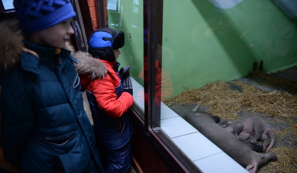  Детский зоопарк в Москве откроется после реконструкции весной 2018 года	