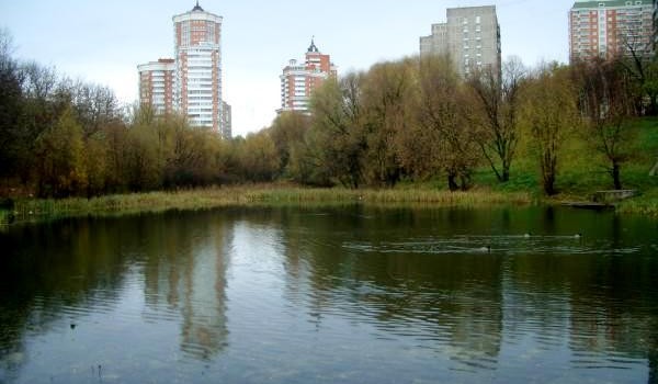 Вокруг Можайского пруда в столице планируется обустроить парк