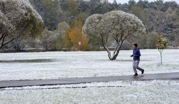 В ТиНАО планируется проложить беговую дорожку с резиновым покрытием