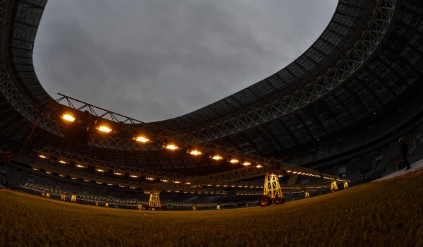 Порядка 50 проверок реконструкции БСА «Лужники» провел Мосгосстройнадзор в 2016 году