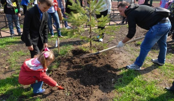 Высадка деревьев планируют начать в столице 24 апреля