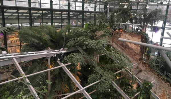 Исторический фасад тропической оранжереи XIX века можно впервые увидеть в "Аптекарском огороде"