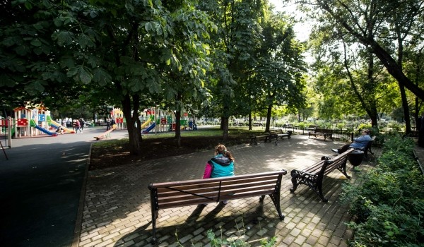 Почти 900 московских дворов озеленят в рамках акции «Миллион деревьев»