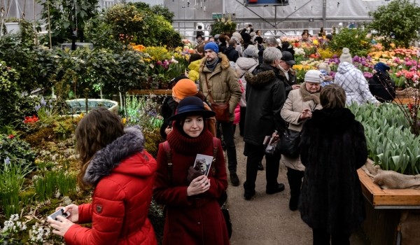 15 апреля в «Аптекарском огороде» расцвели первые в Москве рододендроны