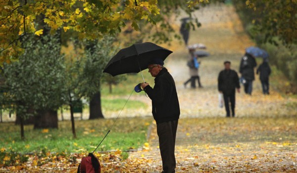 За прошедшие сутки в столице выпало порядка 15% месячной нормы осадков