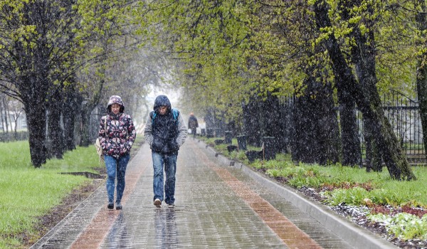 16  мая днем в столице выпало порядка 15% месячной нормы осадков