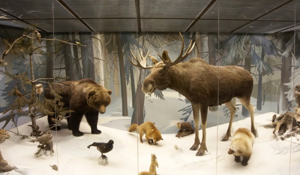 Дарвиновский музей приглашает всех желающий отметить День отца