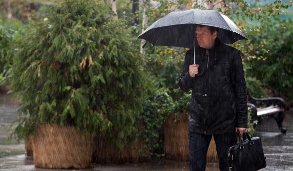 За прошедшие сутки в столице выпало порядка 10% месячной нормы осадков