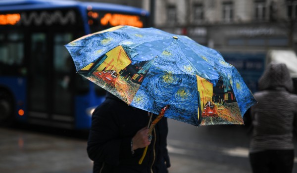 Холодная погода с дождями ожидает москвичей в выходные 