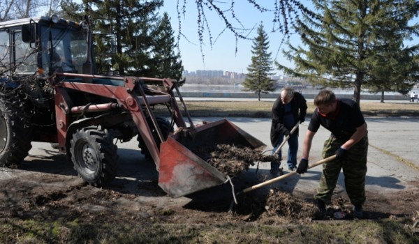 Собянин: Осенью в Москве высадят около 400 тысяч деревьев и кустарников
