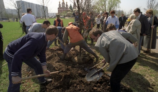 В результате программы реновации в Москве появится больше зеленых насаждений