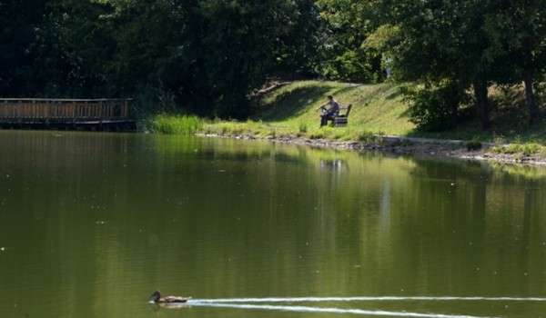 Каскад прудов в парке «Покровское-Стрешнево» реабилитируют 