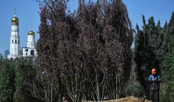 Порядка 70 тонн воды потребуется для создания нетающего искусственного ледника в парке «Зарядье»