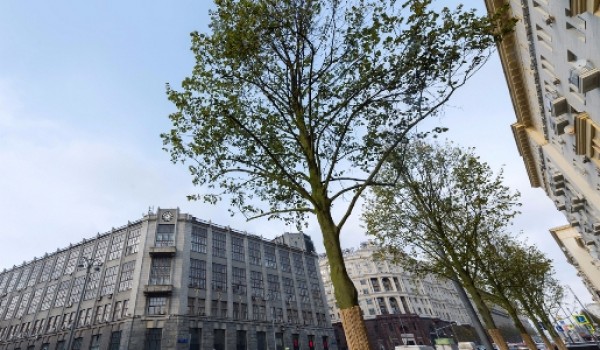 Ул. Тверская будет закрыта для автомобилей на выходные из-за дорожных работ