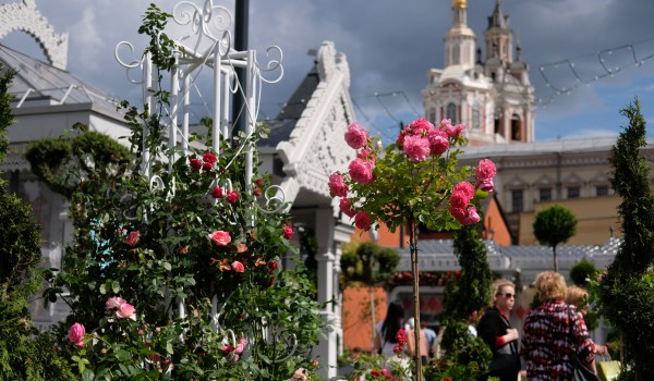 Москвичи выбрали победителей конкурса цветников фестиваля «Цветочный джем»