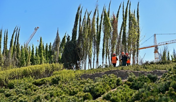 Власти Москвы планируют сдать парк «Зарядье» осенью 2017 года