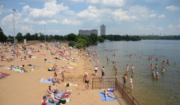 Переменная облачность, без осадков и до 29 градусов тепла ожидается в Москве 18 августа