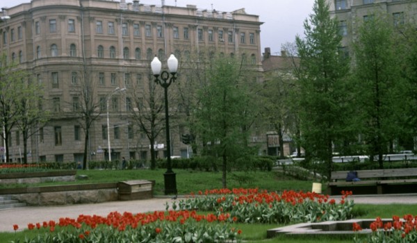 Более 12 млн луковиц тюльпанов закупят для оформления цветников Москвы