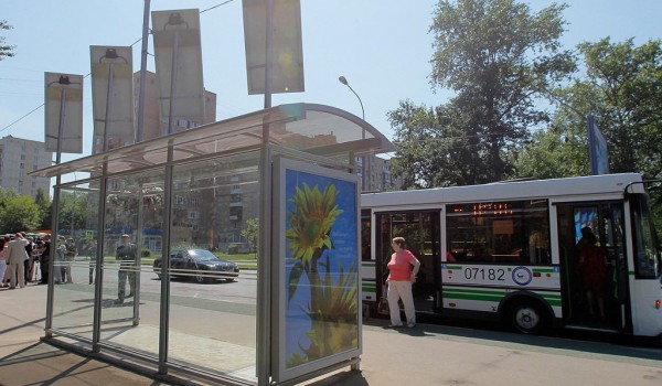 Остановки наземного транспорта Москвы ремонтировали 50 тыс. раз с начала года