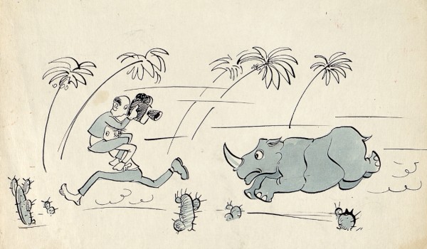 В Дарвиновском музее с 29 августа по 8 октября 2017 пройдет выставка «Неуёмный Дон Кихот»