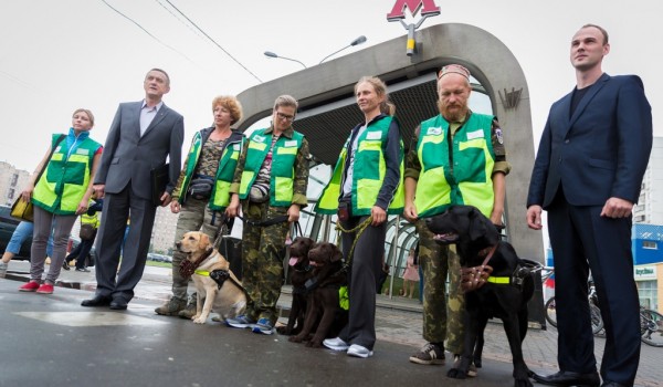 За три года в Московском метрополитене обучили 130 собак-проводников