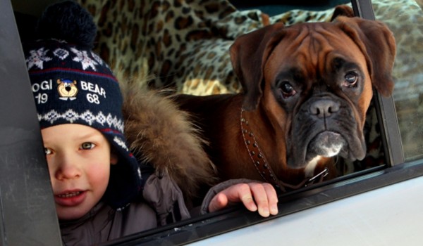 Инспекторы МАДИ в День знаний проведут акцию «Не паркуй ребенка»