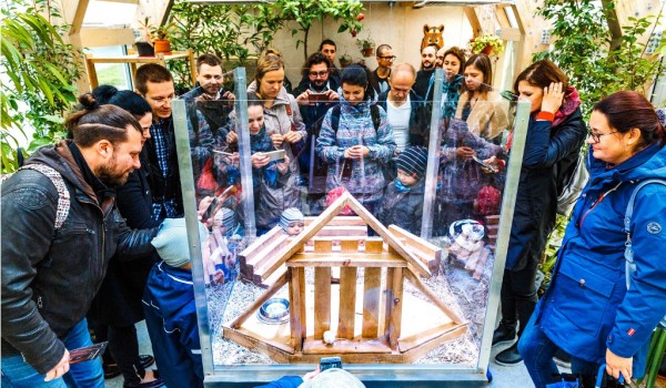 «Городская ферма» на ВДНХ подготовила театральные сюрпризы ко Дню города