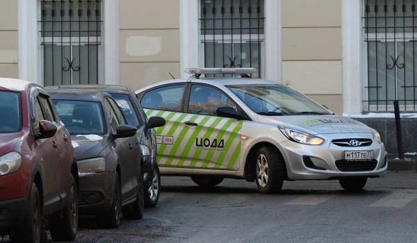 ЦОДД рекомендовал водителям не парковать автомобили под деревьями в связи с сильным ветром