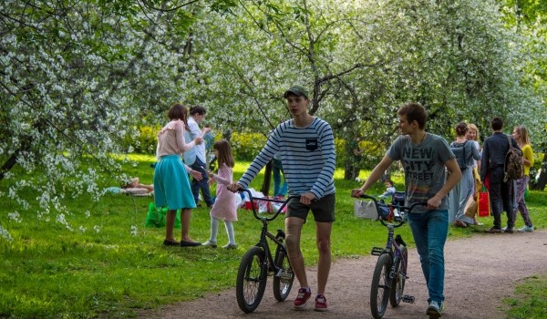 Облачная погода до 22 градусов тепла ожидается в столичном регионе 15 сентября 
