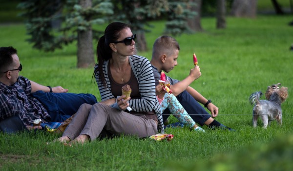 Переменная облачность и до 24 градусов тепла ожидается в столичном регионе 18 сентября 