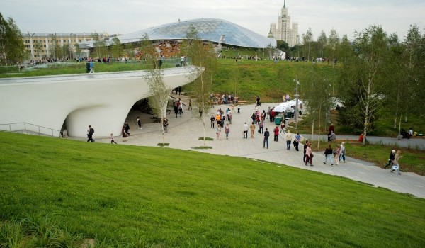 В парке «Зарядье» обитают порядка 30 видов птиц