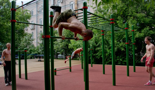 На средства платной парковки в ЮАО благоустроили стройплощадку и зону для выгула собак