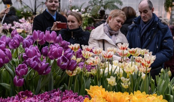 В октябре в «Аптекарском огороде» пройдут бесплатные мастер-классы по ораторскому искусству