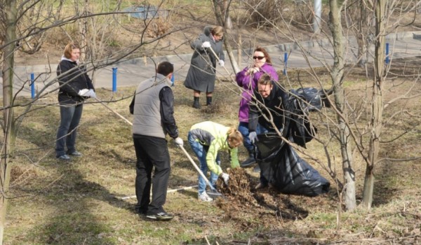 Более 6,5 тысяч деревьев посадят осенью в центре Москвы