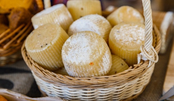 Сыроделы из 11 регионов России примут участие в Фестивале сыра на ВДНХ