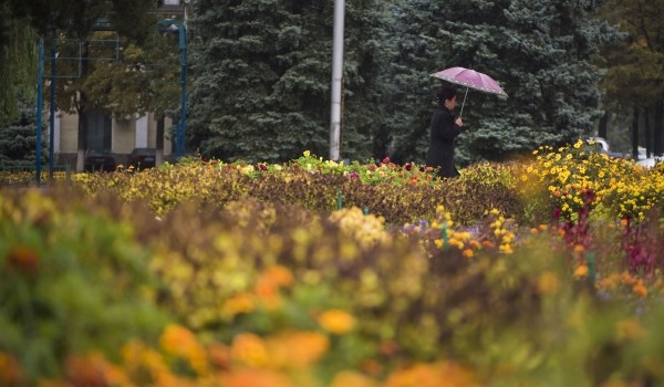 Облачная погода, снег и до плюс 1 градуса ожидается в столице 1 ноября