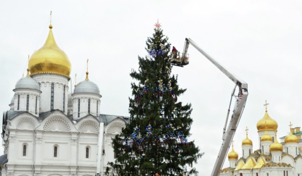15 декабря в Домодедово срубят главную елку страны